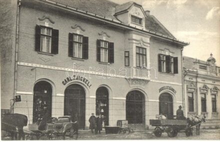 Gyulafehérvár, Karlsburg, Alba Iulia; Jickeli F. Károly üzlete, lovaskocsi, szekér. Hátoldalon újévi üdvözlet / shop of Carl F. Jickeli, horse-drawn carriage, street view with shop front and owners. New Year greeting on the backside