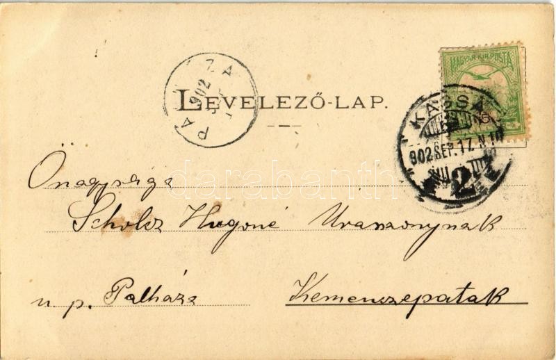 1902 Kassa, Kosice; Lajos-forrás és vendéglő, kert / hotel and restaurant, garden - Image 2
