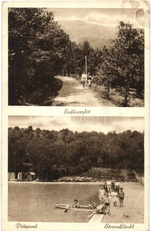 1934 Diósjenő, erdő, strandfürdő, evezős csónak, fürdőzők (ragasztónyom / glue mark)