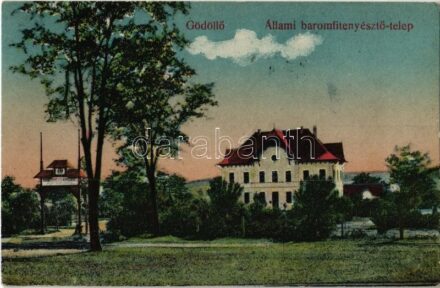 1924 Gödöllő, Állami baromfitenyésztő telep