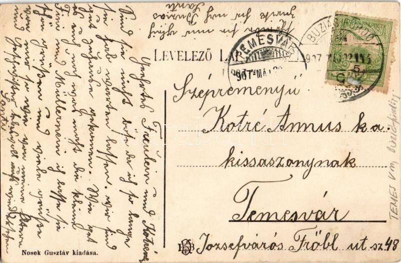 1907 Buziásfürdő, Baia Buzias; Szent Antal csodakút, montázs Kupidóval és gólyákkal. Nosek Gusztáv kiadása / lake and wonder well, montage with Cupid and storks - Image 2