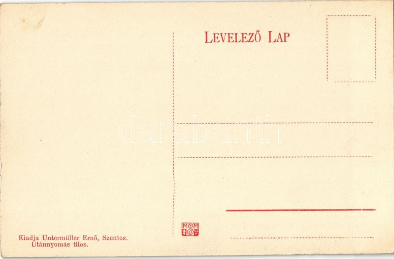 Szentes, Csongrád vármegyei történelmi és régészeti társulat múzeuma, ős foglalkozások, belső. Untermüller Ernő kiadása - Image 2