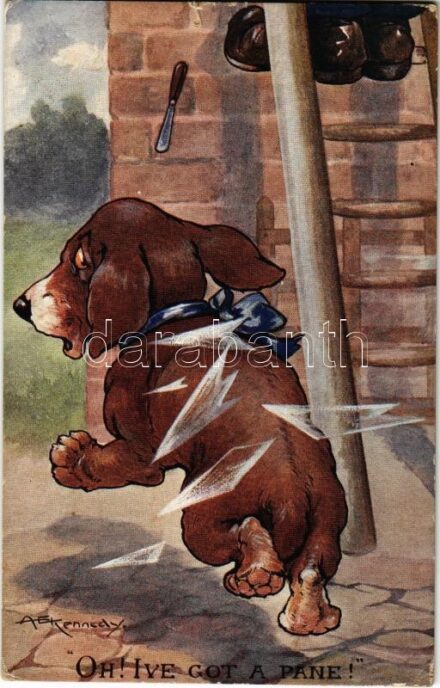 Oh' I've got a pane! Humorous dog motive card. C. W. Faulkner & Co. Series 1419. s: A. E. Kennedy (EK)