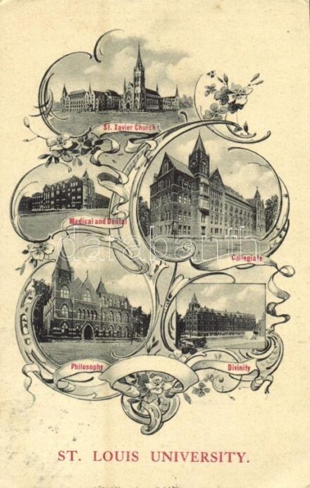 St. Louis (Missouri), Saint Louis University, St. Xavier Church, Medical and Dental, Philosophy, Divinity, Collegiate. Art Nouveau, floral (EK)