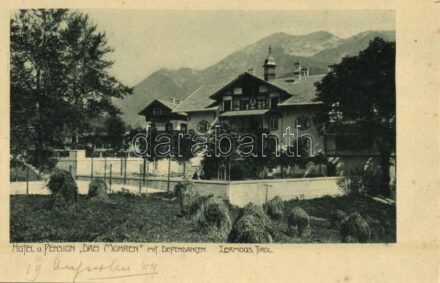 Lermoos (Tirol), Hotel u. Pension 'Drei Mohren' mit Dependancen / hotel