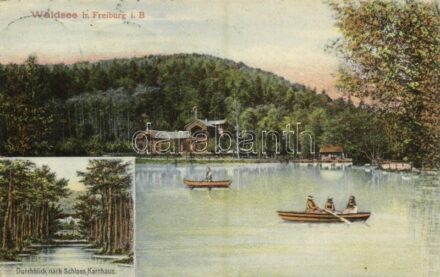 1909 Freiburg im Breisgau, Waldsee, Schloss Karthaus / lake, restaurant, castle