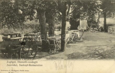 1903 Budapest XII. Zugliget, Disznófő vendéglő, étterem, kert (EK)