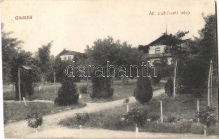 1914 Gödöllő, Állami méhészeti telep. Kiadja Spitzer Izrael 273.
