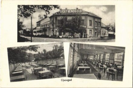 Szeged, Újszeged, Liget vendéglő, belső, kert