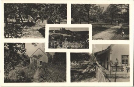 1942 Csesznek, Kert részletek a Sulyok penzióban