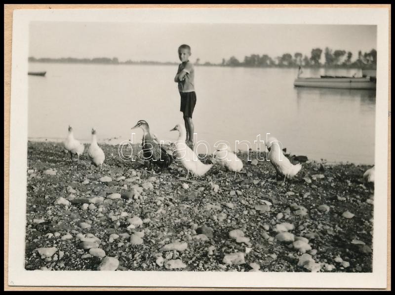 cca 1930 Kinszki Imre (1901-1945) budapesti fotóművész hagyatékából jelzés nélküli vintage fotó (Kacsákkal a Duna-partján), albumból kivágott kartonlapra felragasztva, 4,3x6 cm