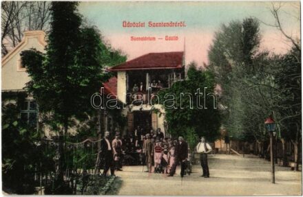 Szentendre, Szanatórium, üdülő, vendégek csoportja. 376. Lichtenstein Miksa kiadása (EK)