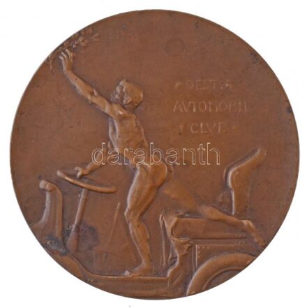 Ausztria 1923. 'Osztrák Automobil Club / Osztrák-magyar minősítő verseny 1923' Br díjérem. Szign.: Peter Breithut (85mm) T:2 fo. ph. Austria 1923. 'OEST(erreich) AVTOMOBIL CLVB / OESTERR(eicher) UNGAR(ische) WERTUNGSFAHRT 1923' Br medal.