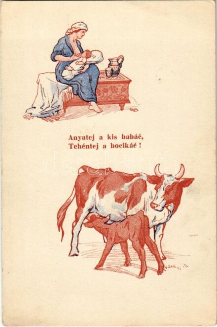 Amerikai Vöröskereszt Anya- és Csecsemővédő akciója Magyarországon / The American Red Cross propaganda in Hungary, Mother and child protective action