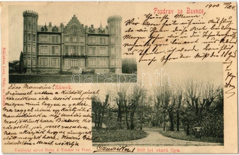 1900 Bzenec, Bisenz; Zámek, 900 let stará lípa / castle, 900 years old lime tree