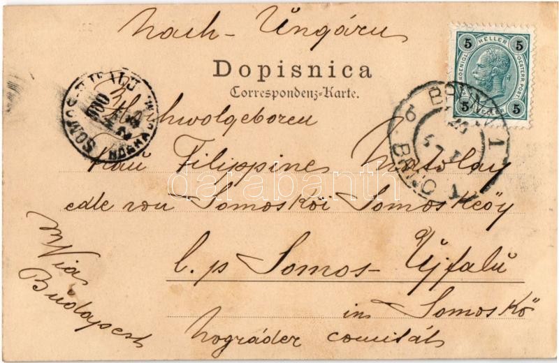 1900 Bzenec, Bisenz; Zámek, 900 let stará lípa / castle, 900 years old lime tree - Image 2