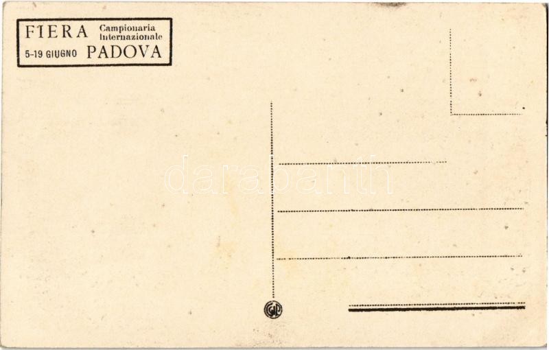 Padova, Padua; Fiera Campionaria, Ingresso principale / Trade Fair, main entry to the market - Image 2