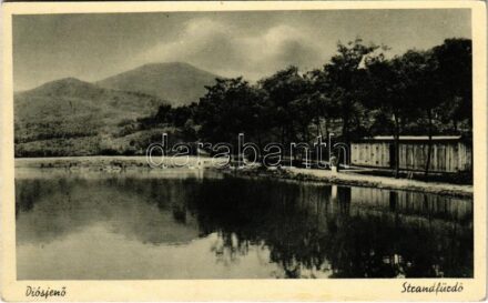 1942 Diósjenő, Strandfürdő
