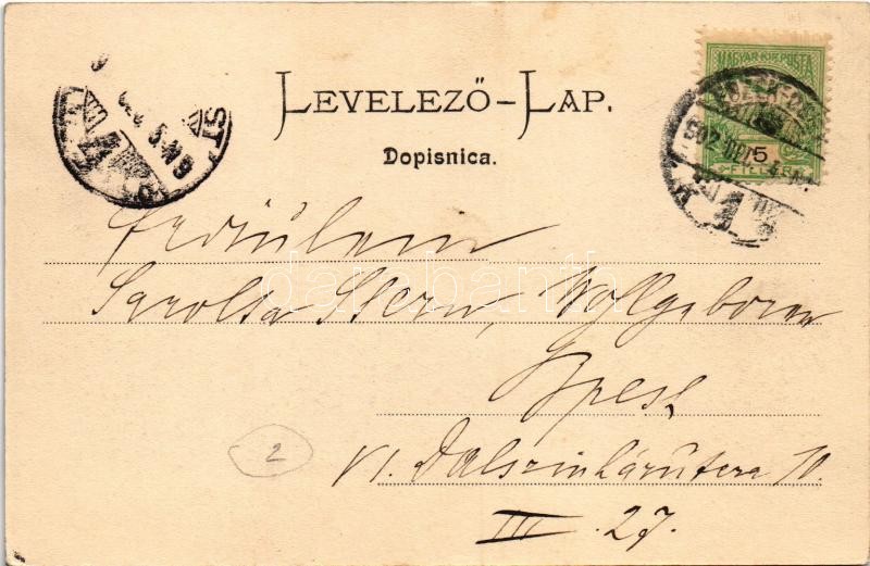 1902 Eszék, Essegg, Osijek; Kapucinska ulica / Kapuzinergasse / Kapucinus utca, Th. Gottschalk, J. Bozic, Victor Fritsche üzlete, Takarékpénztár, Knittel fényképészeti műterme / street view, shops, savings bank, photography atelier (fl) - Image 2