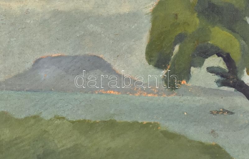 Jelzés nélkül: Balaton, háttérben a Badacsony. Olaj, karton, 27x33 cm - Image 3