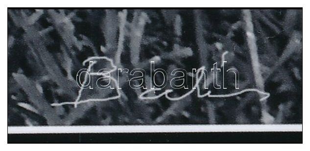 Balás István (1945- ): Állomás, művészi fotóprint, jelzett a fotón, 17×24 cm - Image 2