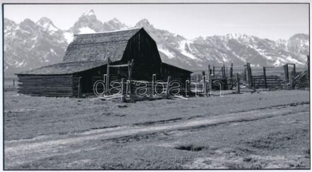 Balás István (1945- ): Farm, művészi fotóprint, jelzett a fotón, 25×10 cm