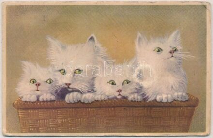 Nyávogó macskák. Mechanikus lap, középen megnyomva sípol / Meowing cats. mechanical postcard, push in the middle