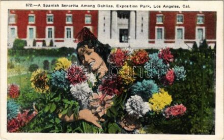 Los Angeles (California); A Spanish Senorita among dahlias, Exposition Park