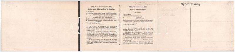 Tiszaborkút, Kvaszi, Kvasy; Rosenthál féle fürdőtelep és nyaraló, só és vasas fürdő, Port-Artur villa. Három részes kinyitható panorámalap / spa. 3-tiled folding panoramacard (hajtásnál szakadt / bent til broken, torn) - Image 2