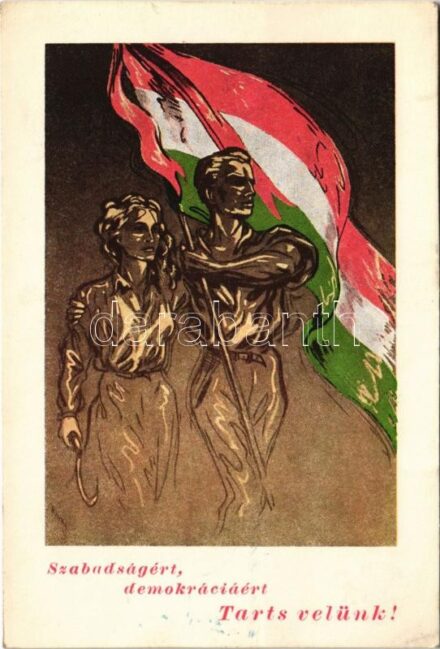 1947 Szabadságért, demokráciáért tarts velünk! Partizán Barátok Szövetsége propaganda lapja / Hungarian partisan propaganda postcard + '1848-1947 III. 15. Szabadság Kiállítás Partizán Barátok' So. Stpl. (EK)