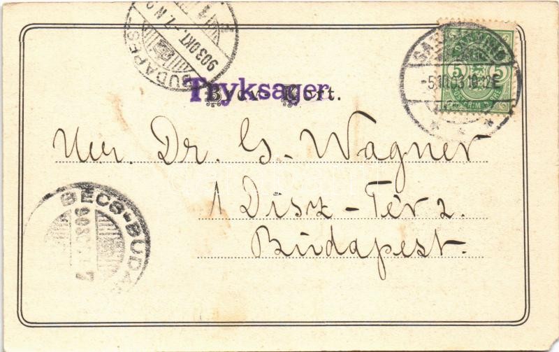 1903 Sakskobing, Saxkjöbing; Brostraede, Udstyr for Herrer / street, shop of Oluf D. Kofoed (EM) - Image 2