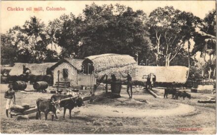 Colombo, Chekku oil mill