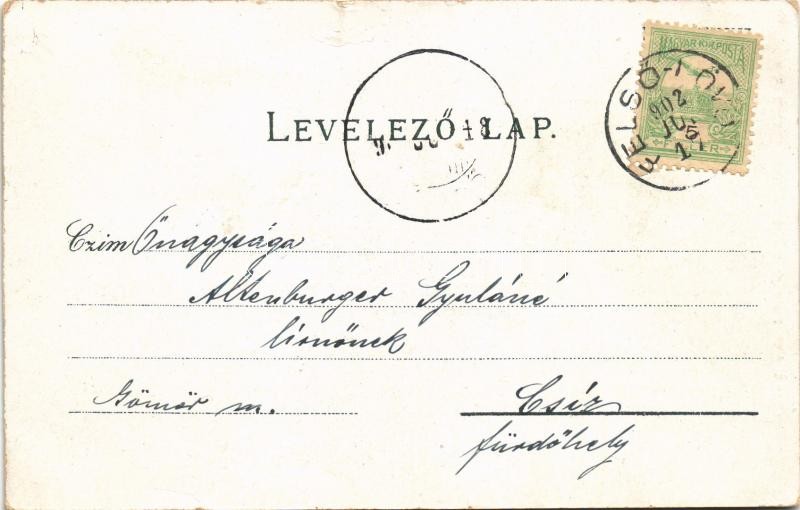 1902 Felsőlövő, Oberschützen; Evangélikus főgimnázium, Fő tér, Központi szálloda. Kirnbauer Ottó 10783. / grammar school, main square, hotel. Floral, Art Nouveau, litho - Image 2