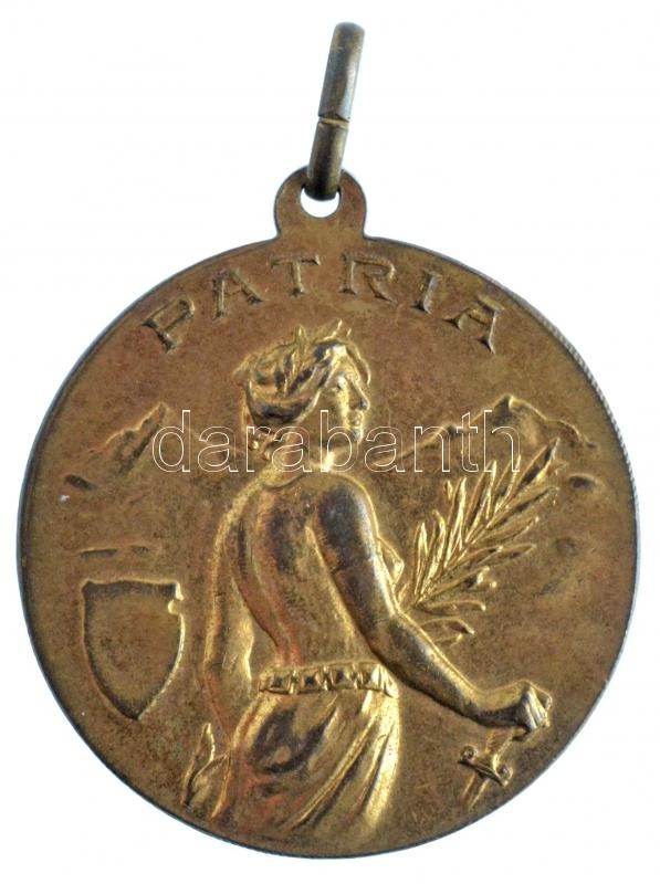 1928. 'Somogyvármegye Levente Versenyei 1928 / Patria' aranyozott Br emlékérem 'ARKANZAS BUDAPEST' gyártói jelzéssel (30,5mm) T:2,2-