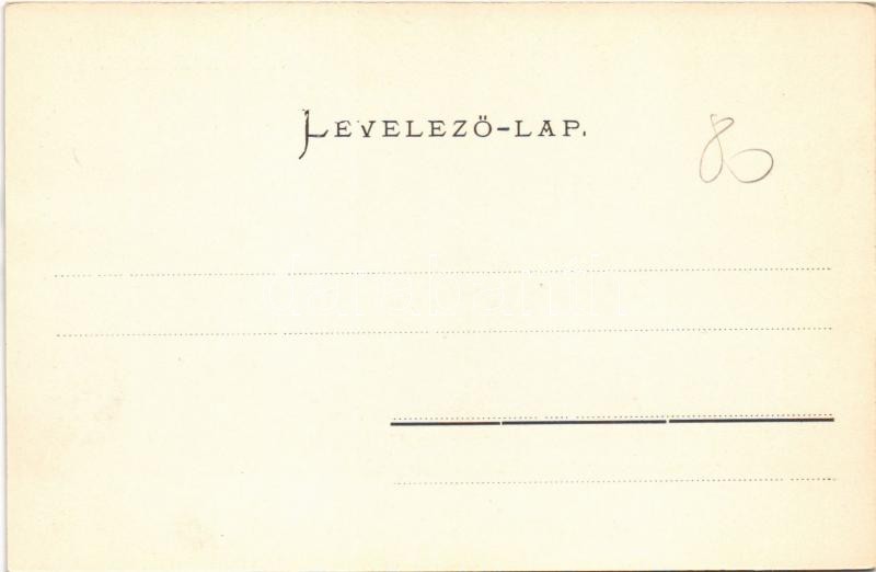 1906 Gyalu, Gilau; Református paplak. Betegh Márton kiadása / Calvinist rectory - Image 2