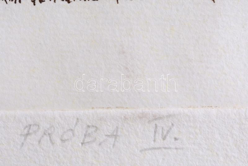 Zsakó István (1954-): Csónakos, 1998. Rézkarc, merített papír, jelzett. Próbanyomat 'próba IV.' jelzéssel. 29×21 cm - Image 3