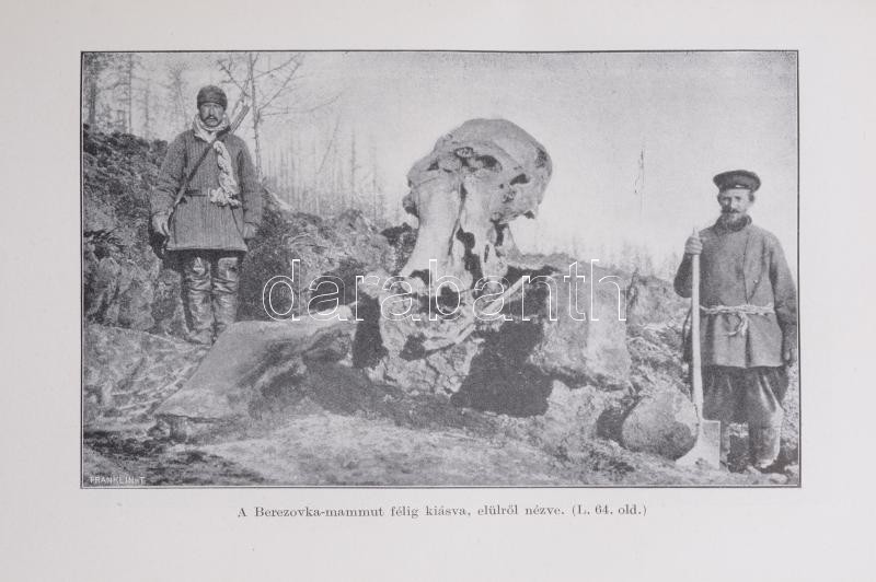 E. W. Pfizenmayer: Kelet-Szibíria ősvilága és ősnépei.Tudományos utazás a mammut-tetemek és az erdőlakó népek tanulmányozása végett. Átdolgozta és Szibéria általános leírásával kiegészítette: Cholnoky Béla. A Magyar - Image 2