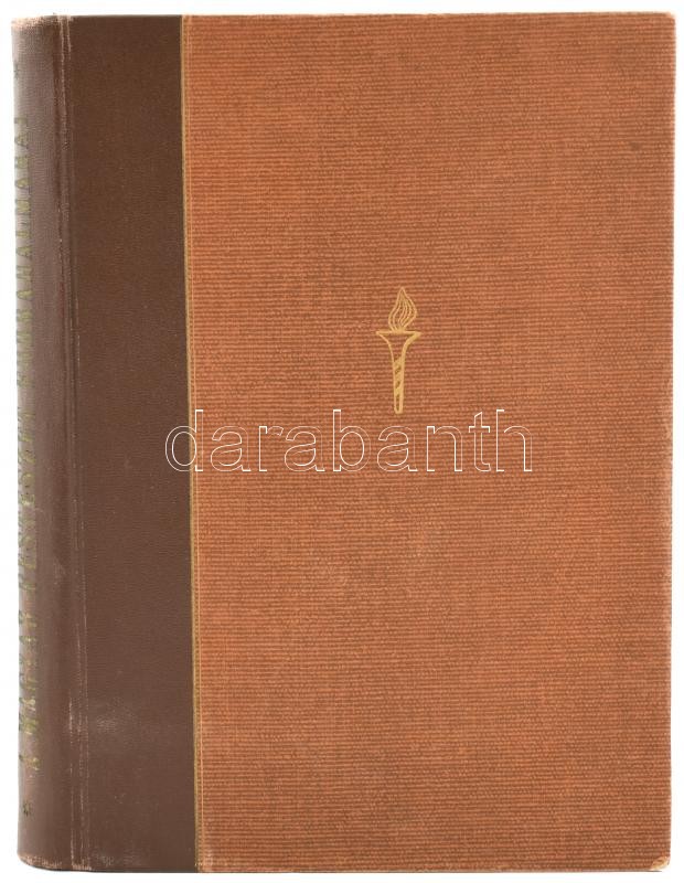 Pogány Ö Gábor: A magyar festészet forradalmárai. Ars Mundi X. Bp.,én.,Officina. Gazdag képanyaggal illusztrált. Kiadói vászon-kötés - Image 2