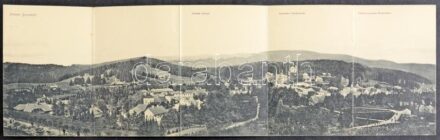 1906 Borszék, Borsec; Öt részes kihajtható panorámalap, Soós kiadása / 5-tiled folding panoramacard