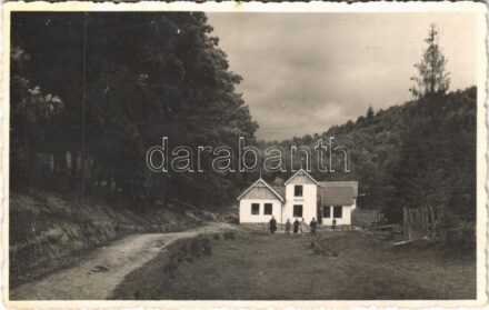 1944 Kovászna, Covasna; nyaraló, üdülő / villa, holiday resort