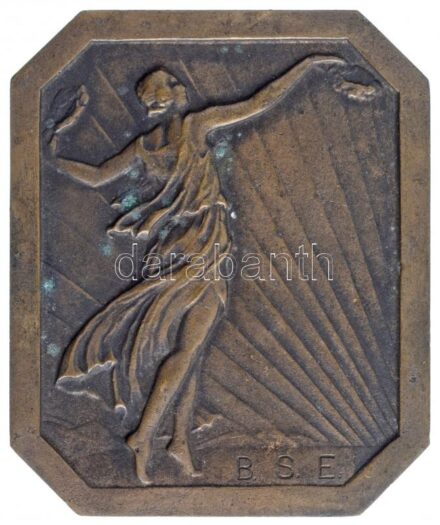 1935. 'BSE / Honffy-serleg IV. 1935.' Br díjplakett (52x62mm) T:2,2- patina