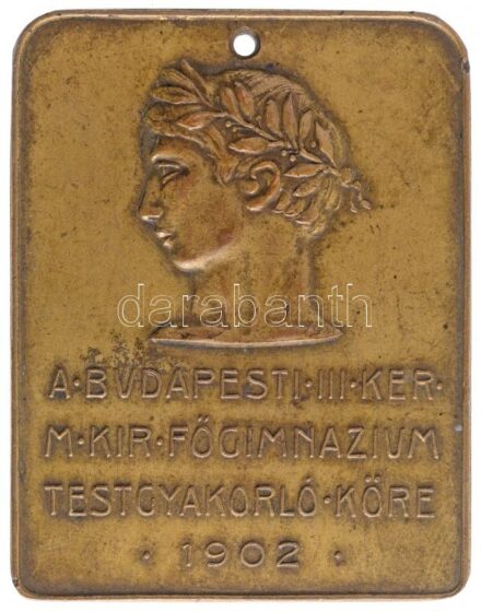 ~1920. 'A Budapesti III. Kerületi M. Kir. Főgimnázium Testgyakorló Köre 1902' Br emlékplakett, átfúrva a felfüggesztéshez (35x45mm) T:2