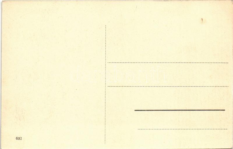 Trieste, Tempio israelitico / New Jewish temple, synagogue - Image 2