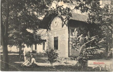 Mezőpetri, Petresti; kastély / villa castle (EB)