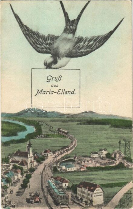 1916 Maria Ellend (Haslau), Gruss aus montage with swallow, railway station, tram, automobile