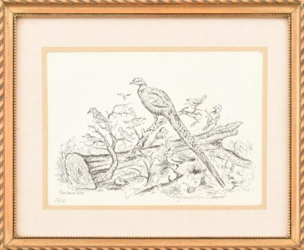 Katymári Krizsán Antal (1916-1996): Fácános kép. Ofszet, papír. Jelzett. Számozott (50/6). Üvegezett fa keretben. 13,5×18,5 cm