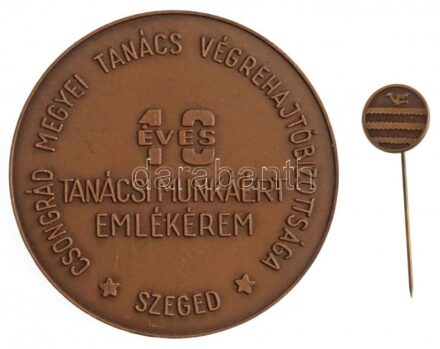 ~1980. 'Csongrád Megyei Tanács Végrehajtóbizottsága, Szeged - 10 éves tanácsi munkáért' Br emlékérem kitűzővel tokban (70mm) T:1,1-