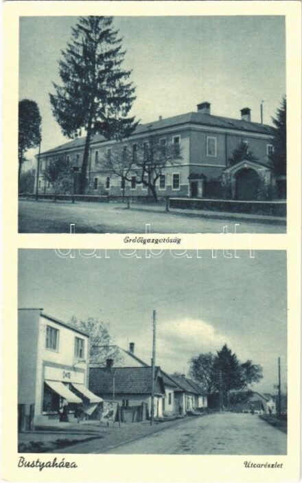 Bustyaháza, Handalbustyaháza, Bushtyno, Bustyno, Bustino (Máramaros); Erdőigazgatóság, utca, Cikta üzlet / forestry directorate, street, shop