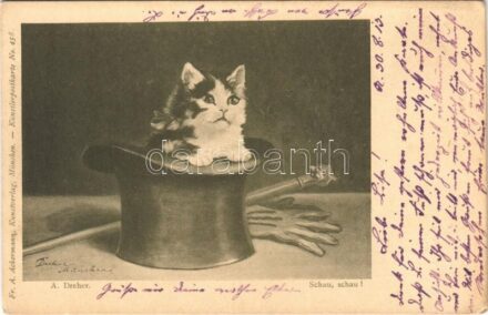1913 Schau, schau! / Cat in the magician's hat. Fr. A. Ackermann Kunstverlag Künstlerpostkarte No. 458. s: A. Dreher (EK)