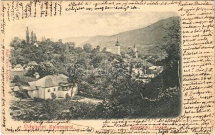 1900 Zalatna, Zlatna; részlet. Nagy Lajos kiadása / general view (EK)